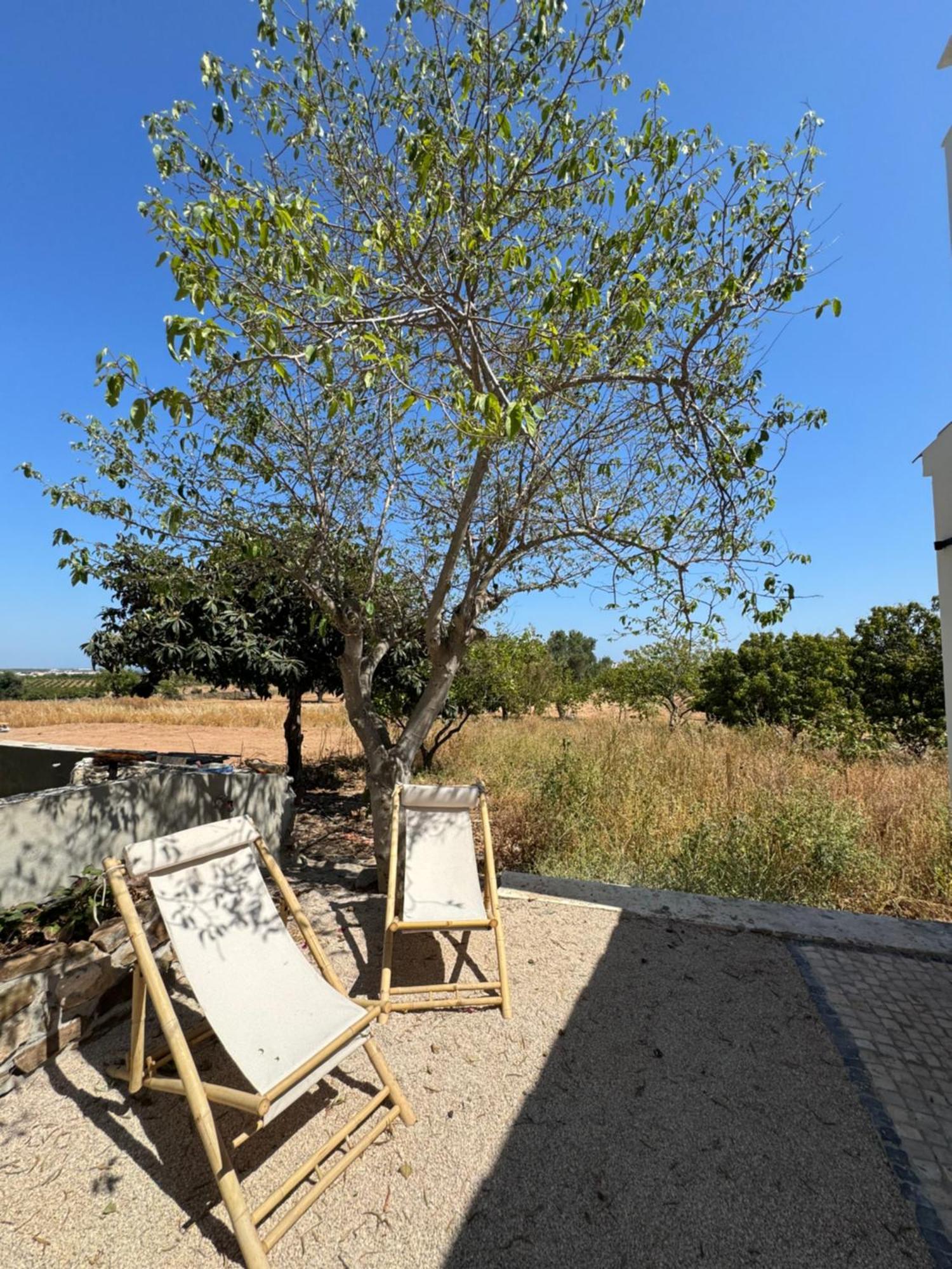 Quinta Castor Villa Vila Nova de Cacela Kültér fotó