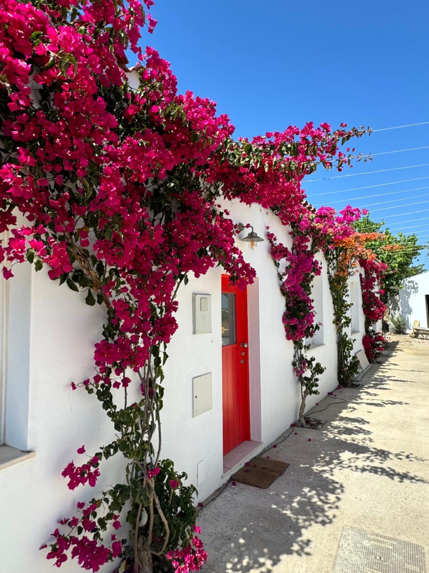 Quinta Castor Villa Vila Nova de Cacela Kültér fotó