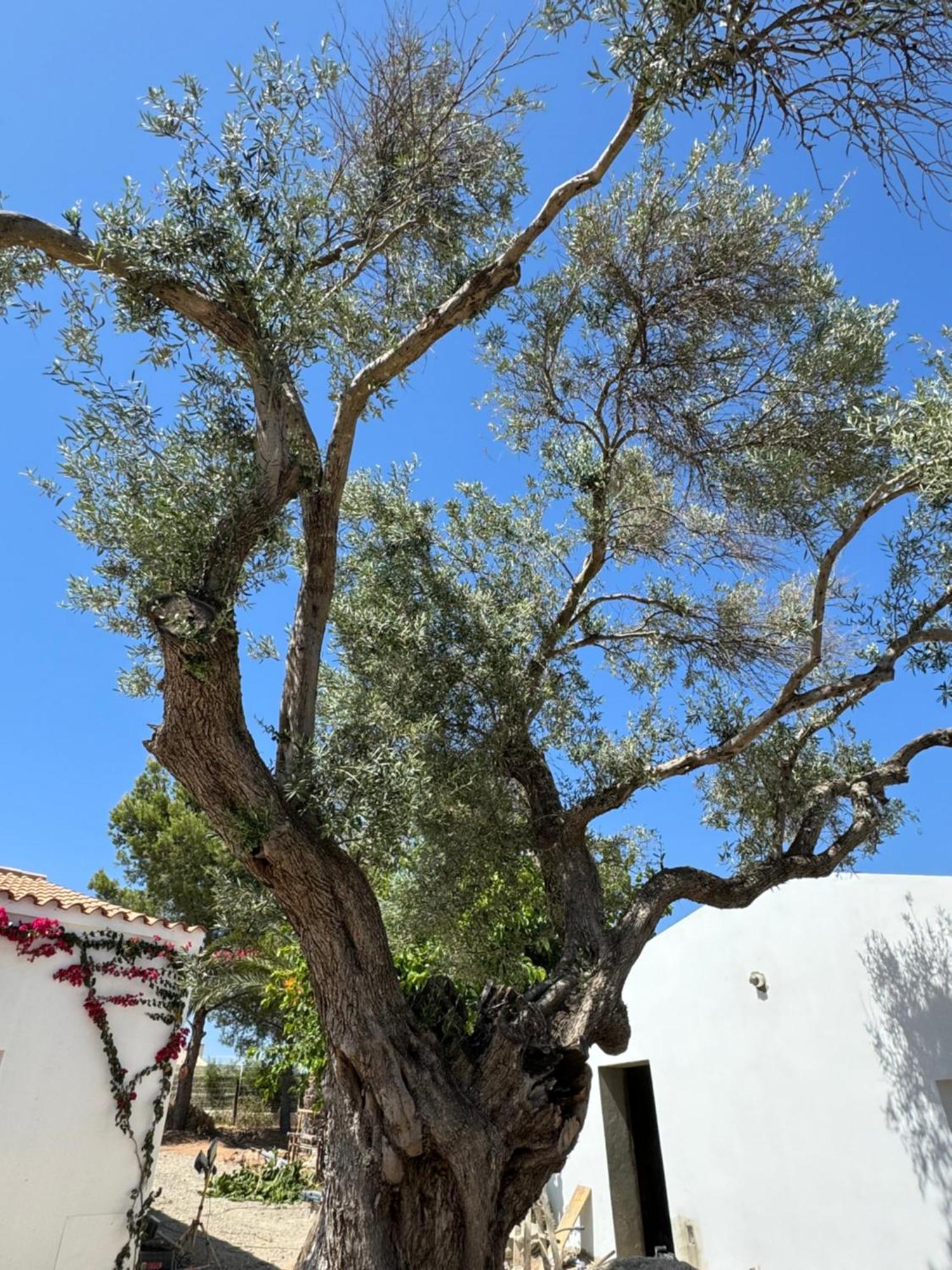 Quinta Castor Villa Vila Nova de Cacela Kültér fotó