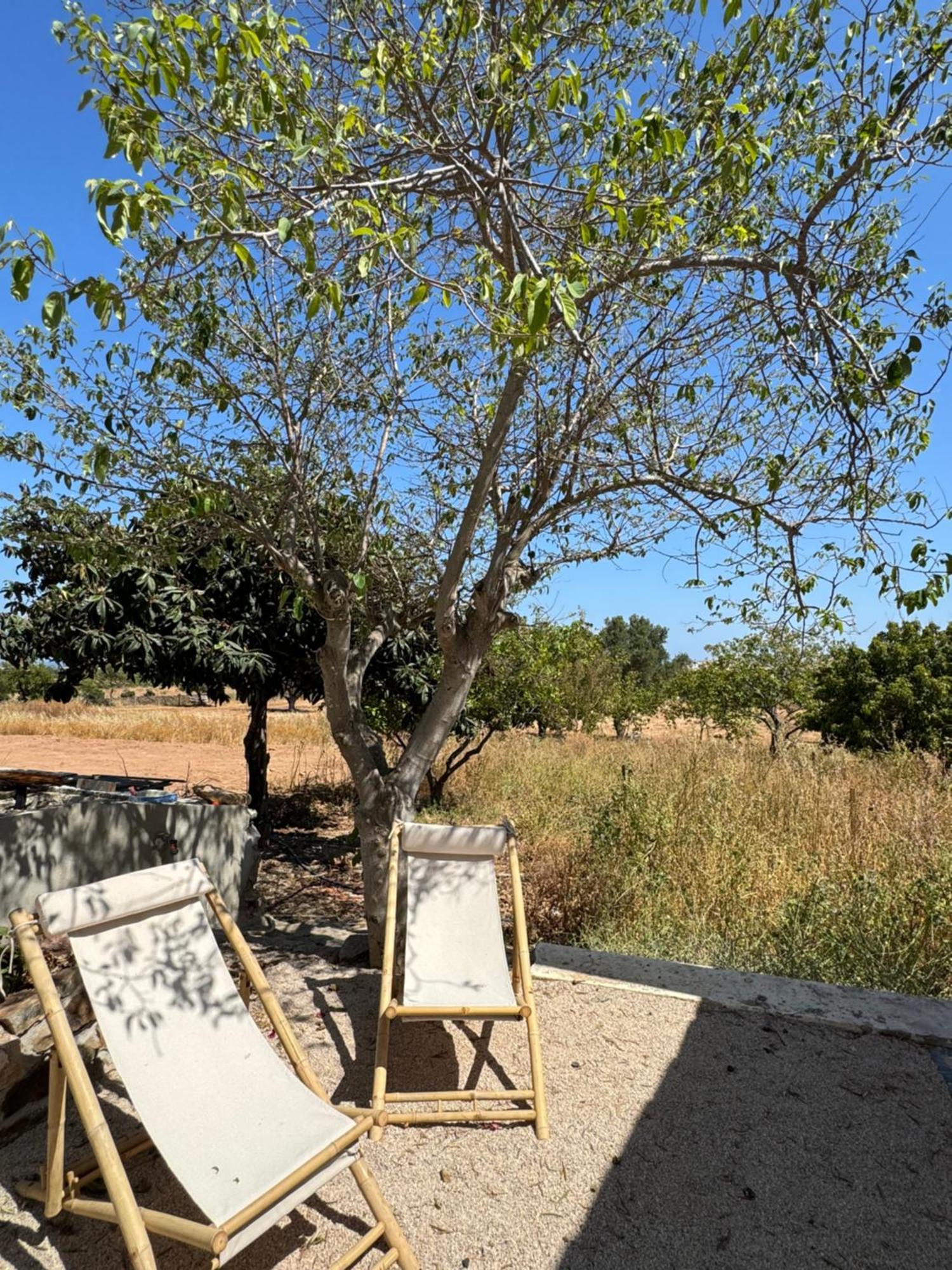 Quinta Castor Villa Vila Nova de Cacela Kültér fotó