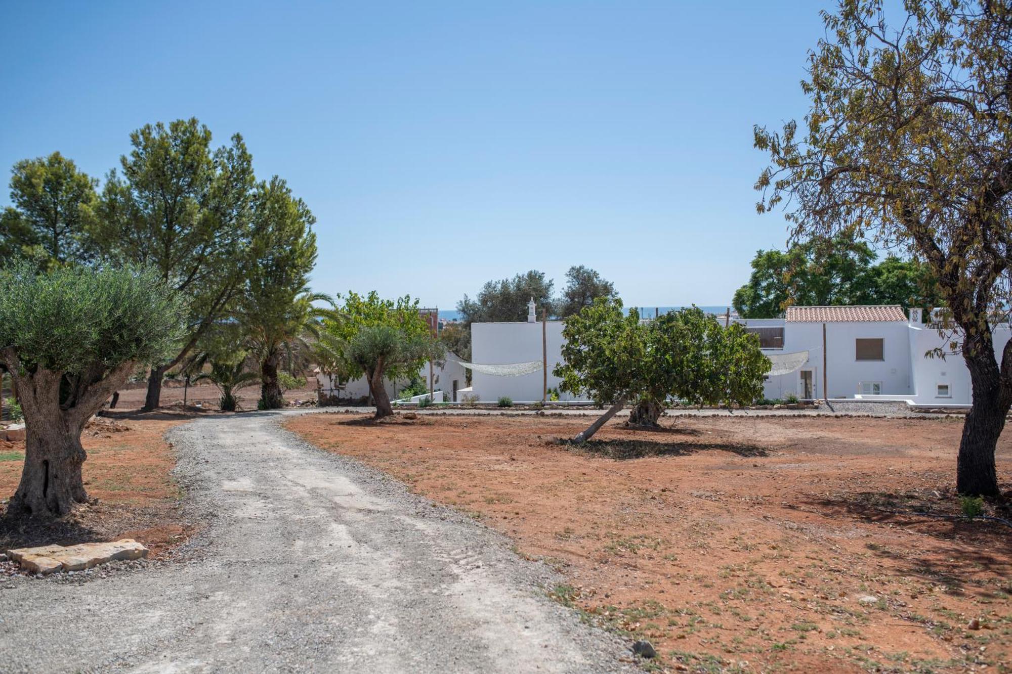 Quinta Castor Villa Vila Nova de Cacela Kültér fotó