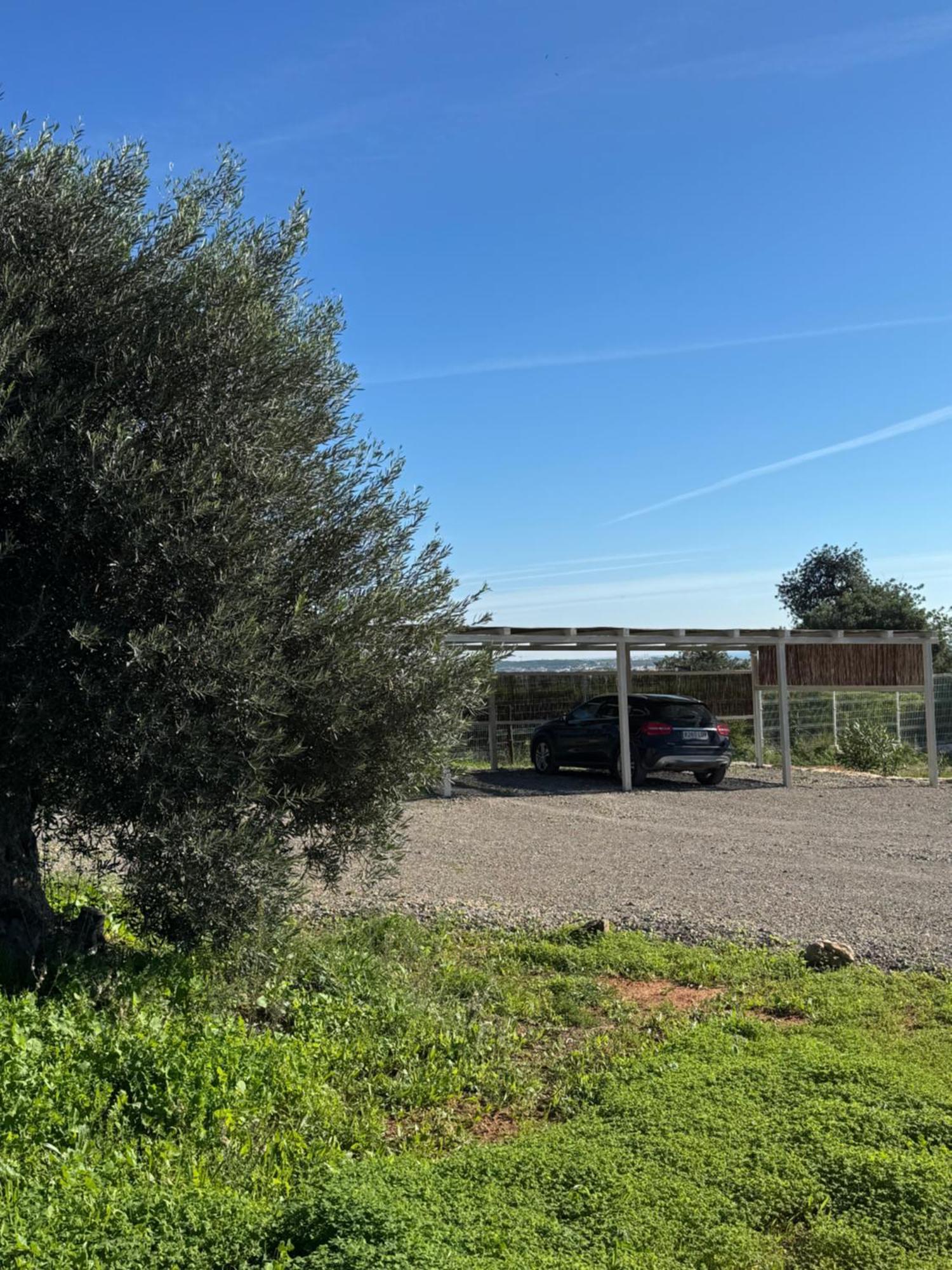 Quinta Castor Villa Vila Nova de Cacela Kültér fotó